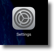 Apple iPad settings icon